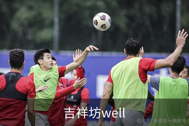 吉祥坊well公司简介图片